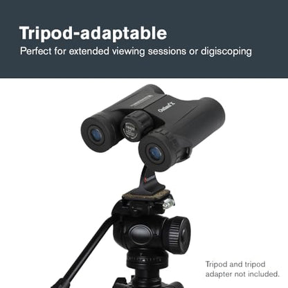 Celestron - Outland X 10x25 Binoculars – Ideal for Birding and Outdoors – 25mm Objective Lenses – 6.2° Field of View – BaK-4 Prisms – Multi-Coated – Waterproof and Fogproof