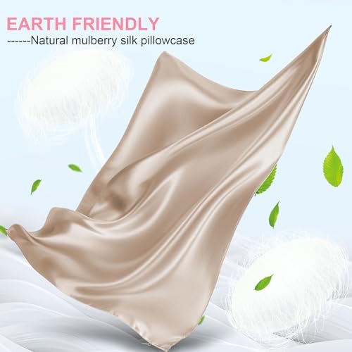 Mulberry Silk Pillow Cases 2 Pack Standard Size 20x26 Inches with Hidden Zipper, Ultra Smooth and Soft Breathable Cooling Silk Satin Pillowcase Set of 2, Better for Hair and Skin, Gifts for Women Men