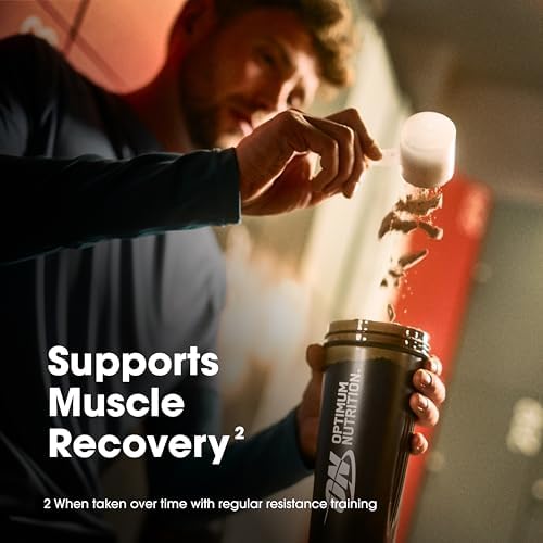 Optimum Nutrition Gold Standard 100% Whey Protein Powder, Vanilla Ice Cream, 1 Pound (Pack of 1)