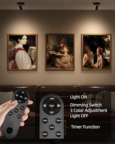 EZVALO Spotlights Indoor with Remote, 5500mAh Rechargeable Picture Lights, Wireless LED Uplighting with Timer＆Dimmable, 3CCT, Display Lights for Plant Painting, Artwork, Accent Lighting (2Pack-Black)
