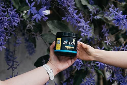 REDMOND Re-Lyte Hydration Electrolyte Powder Mix (Pina Colada)