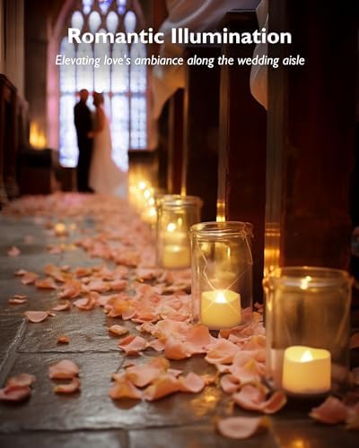 Homemory Timer Tea Lights Candles Battery Operated, 6H Timer Built-in, Auto On Daily, Flameless LED Tealight Votives for Table Centerpieces, Lantern, Holiday Decor, Warm Lamp, No Remote, 24-Pack