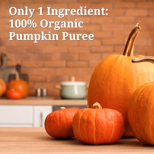 Farmer's Market Foods Canned Organic Pumpkin Puree, 15 Ounce (Pack of 12)