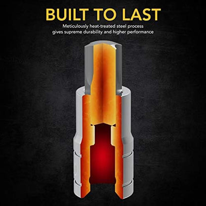 LEXIVON Torx Bit Socket Set, Premium S2 Alloy Steel | 13-Piece Star T8 - T60 Set | Enhanced Storage Case (LX-143)