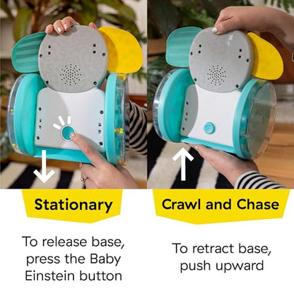 Baby Einstein Chase & Tap Earl Crawling Baby Toy, with Mirror and Music, Ages 6 Months and Up