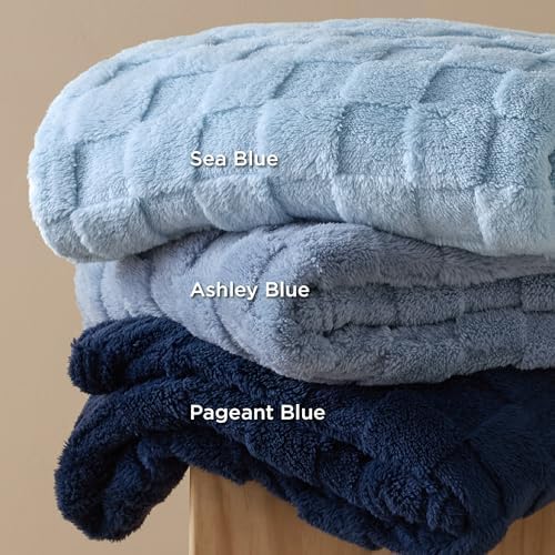 Bedsure Ashley Blue Fleece Blanket for Couch - Super Soft Cozy Blankets for Women, Cute Small Throws for Girls, 50x60 Inches
