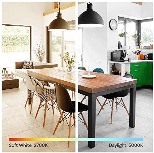 Amazon Basics Non-Dimmable LED Light Bulbs, Long Lasting, 9W, E26 Base, 5000K Daylight White, A19, 60W Equivalent, 24-Pack