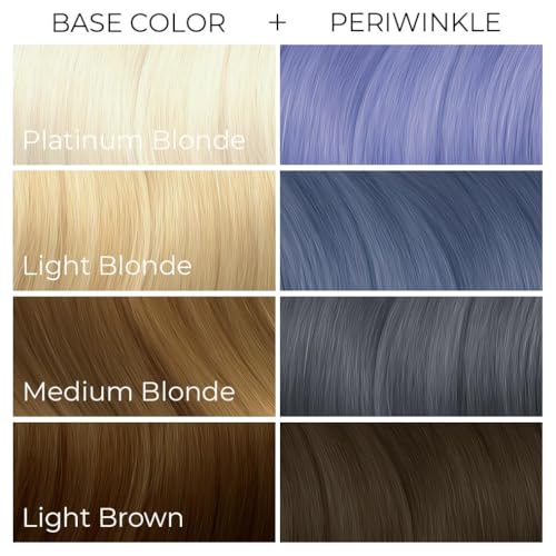 Arctic Fox Semi-Permanent Hair Dye, Vegan & Cruelty-Free, Pastel Blue Periwinkle, Conditioning, Ammonia-Free, For All Hair Types, Long Lasting Color, 4 Fl Oz (Pack of 2)