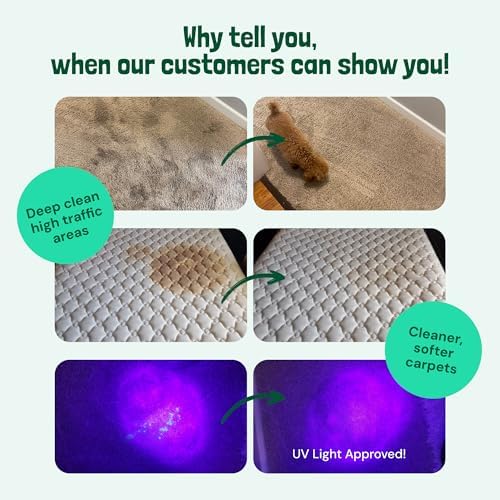 Sunny & Honey Carpet Shampoo & Cleaning Solution - 32 Fl Oz Spring Mint Scent - Pet Carpet Cleaner Machine Solution - Rug & Upholstery Cleaner - Stain Remover & Odor Deodorizer