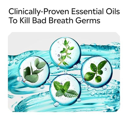 Listerine Cool Mint Alcohol Free Mouthwash, Bad Breath Germ Killing, Bad Breath Treatment Oral Rinse for Adults; Cool Mint Flavor, 500 mL, 6 Pack