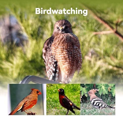 Dwarf 3 Smart Telescope - Portable, Capture Astronomy/Wildlife/Panorama, EQ Mode, Cloud Processing, 4K Auto-Tracking, Ultra-Light 3lb, Suits All Ages