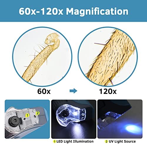 Pocket Microscope, 60x-120x Handheld Mini Microscope Kids with LED Lights, 5 Slides Specimens, BEBANG Portable Microscope for Kids Student Adults Microbiological Observation Lab Study, Educational Kit