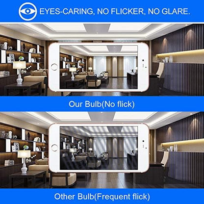 Energetic 24-Pack A19 LED Light Bulb, 60 Watt Equivalent, Daylight 5000K, E26 Medium Base, Non-Dimmable LED Light Bulb, ETL Listed