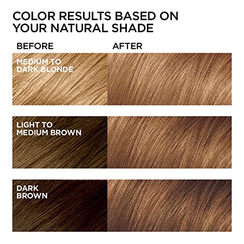 L'Oreal Paris Feria Multi-Faceted Shimmering Permanent Hair Color, 63 Sparkling Amber, Hair Dye Kit, Pack of 2