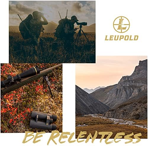 Leupold BX-2 Alpine HD Binoculars, 8x42mm (181176)