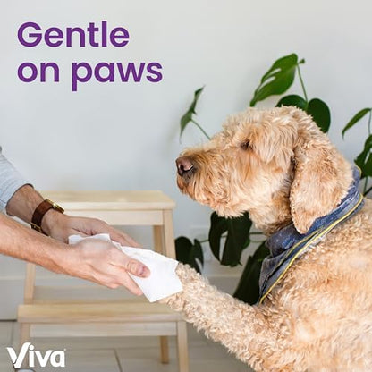Viva Signature Cloth Paper Towels, 12 Triple Rolls, 129 Sheets per Roll