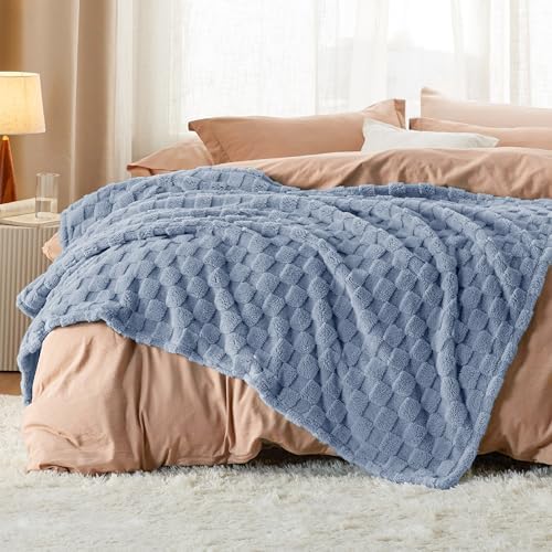 Bedsure Ashley Blue Fleece Blanket for Couch - Super Soft Cozy Blankets for Women, Cute Small Throws for Girls, 50x60 Inches