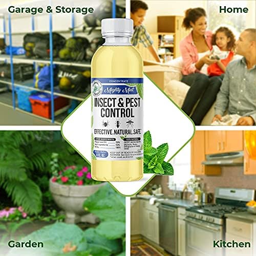 Mighty Mint Peppermint Oil Insect Repellent Concentrate– Natural Indoor & Outdoor Bug Control for Spiders, Ants, Roaches, and More – Plant-Based, Extra-Strong Formula - 8 oz