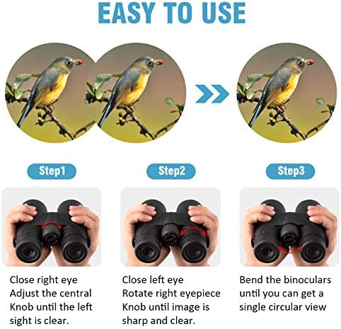10x42 Binoculars for Adults - Professional HD Roof BAK4 Prism Lens Binoculars for Bird Watching, Hunting, Travel, Sports, Cruise, Concert, with Carrying Bag