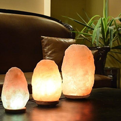 Himalayan Glow Salt Lamp with Dimmer Switch 5-7 lbs
