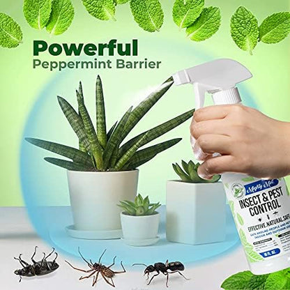 Mighty Mint Peppermint Oil Insect Repellent Concentrate– Natural Indoor & Outdoor Bug Control for Spiders, Ants, Roaches, and More – Plant-Based, Extra-Strong Formula - 8 oz