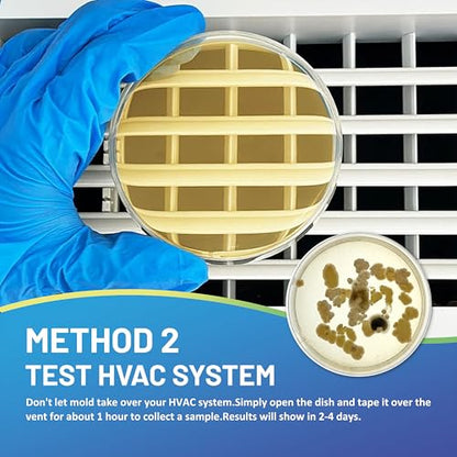 Mold Test Kit for Home,14 Simple Detection Tests,Test HVAC System,Home Surfaces, Indoor Air Quality Testing,DIY Mold Detector,Includes Detailed Mold Identification Guide,Black Mold Testing kit