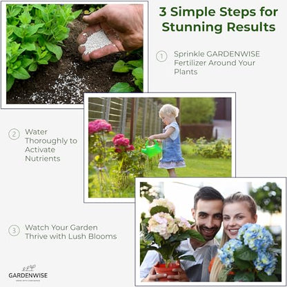 Slow Release Hydrangea Fertilizer with Iron & Sulfur – Indoor & Outdoor Soil Acidifier for Miracle Growth (1 qt)