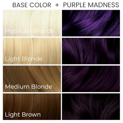 Arctic Fox Semi-Permanent Hair Color, Purple Madness, Vegan & Cruelty-Free, Ammonia-Free, Hydrating Formula, Vibrant Purple Hair Dye for All Hair Types, 5.6 Fl Oz (Pack of 2)