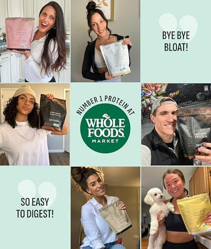 Truvani Vegan Pea Protein Powder | Mint Chocolate | 20g Organic Plant Based Protein | 20 Servings | Keto | Gluten & Dairy Free | Low Carb | No Added Sugar