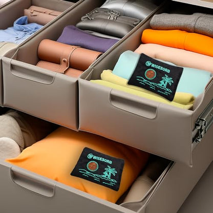 100g x 5pcs Rechargeable Desiccant Packs, Reusable Car Dehumidifier Bags Color Indicating Silica Gel Packets Moisture Absorbers for Storage Bins, Suitcase, Safe, 3D Filaments, Electronics