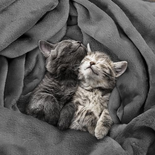 Utopia Bedding Fleece Blanket Queen Size Grey 300GSM Luxury Anti-Static Fuzzy Soft Microfiber Bed Blanket (90x90 Inch)