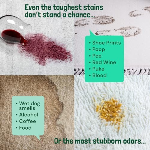 Sunny & Honey Carpet Shampoo & Cleaning Solution - 32 Fl Oz Spring Mint Scent - Pet Carpet Cleaner Machine Solution - Rug & Upholstery Cleaner - Stain Remover & Odor Deodorizer