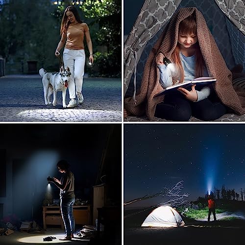 Lighting EVER LED Flashlights High Lumens, Small Flashlight, Waterproof, Adjustable Focus Flash Light for Outdoor, Emergency, Camping, AAA Batteries Included, 2 Pack