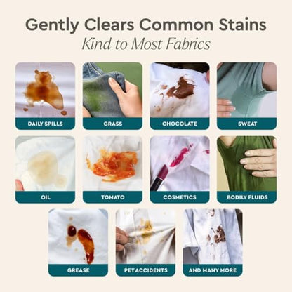 Puracy Laundry Detergent - Enzyme-Powered Liquid Laundry Detergent Concentrate, Natural LaundryDetergent Seen on TikTok, Non-Toxic (Cherry Blossom, 16 fl oz, 64 Loads)