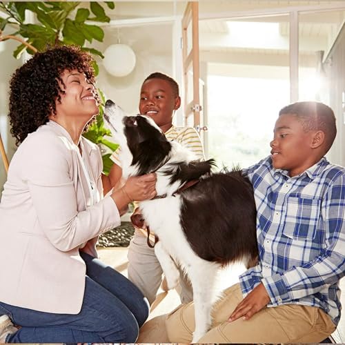 Filtrete 16x25x1 AC Furnace Air Filter, MERV 5, MPR 300, Capture Unwanted Particles, 3-Month Pleated 1-Inch Electrostatic Air Cleaning Filter, 6-Pack (Actual Size 15.69x24.69x0.81 in)