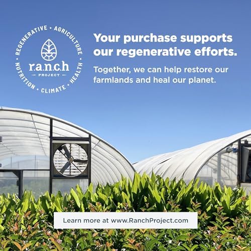 Ancient Nutrition Hydrolyzed Collagen Peptides Powder with Probiotics, Chocolate Multi Collagen Protein for Women and Men with Vitamin C, 40 Servings, Supports Skin and Nails, Gut Health, 16.65oz