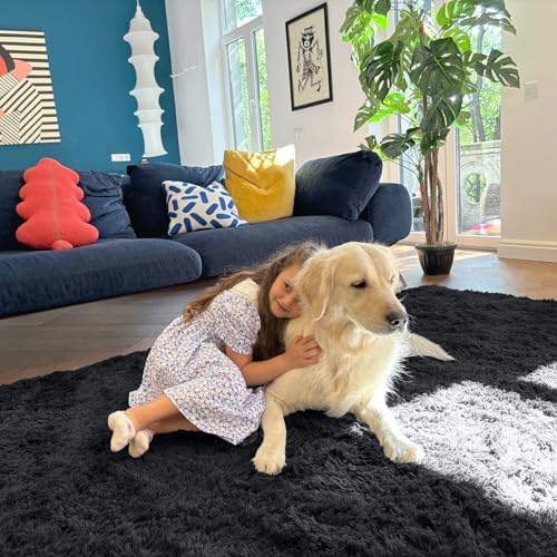 OLANLY Area Rugs for Living Room Bedroom, Machine Washable 4x5.9 ft Soft Fluffy Shaggy Bedside Rug, Indoor Floor Carpet for Kids Girls and Boys, Dorms, Nursery Rooms, Home Decor Aesthetic, Black