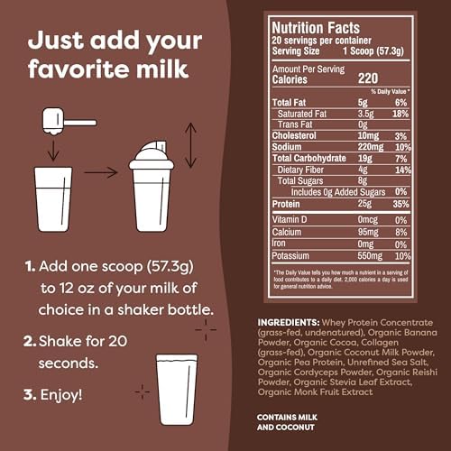 FlavCity Grass Fed Whey Chocolate Protein Powder - 25g Protein & 10g Collagen - Made with Organic Cocoa, Bananas & Coconut Milk - Gluten Free & No Added Sugars (20 Servings)