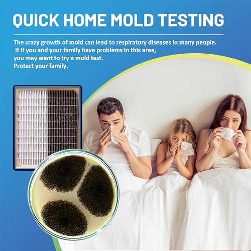 Mold Test Kit for Home,14 Simple Detection Tests,Test HVAC System,Home Surfaces, Indoor Air Quality Testing,DIY Mold Detector,Includes Detailed Mold Identification Guide,Black Mold Testing kit