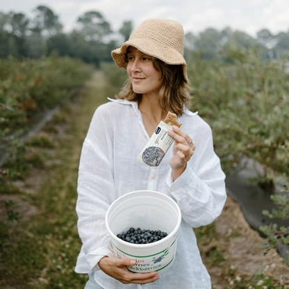 GoMacro Macrobar Organic Vegan Protein Bars - Blueberry + Cashew Butter (2.3 Ounce Bars (Pack of 12)