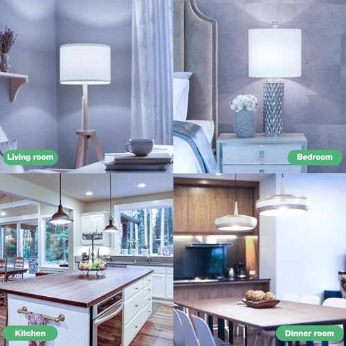 Light Bulbs, 100 Watt Equivalent LED Bulbs A19, 5000K Daylight Light Bulbs, E26 Standard Base, 1500 Lumens, Non-Dimmable, 13W Bright White LED Bulb for Bedroom Home Office, 24 Pack