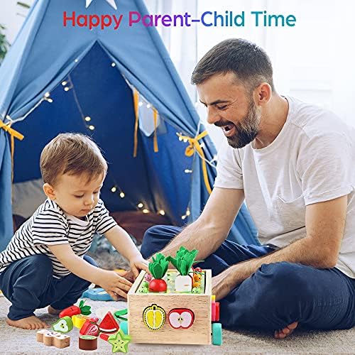 Toddlers Montessori Wooden Educational Toys for Baby Boys Girls Age 1 2 3 Year Old, Shape Sorting Toys 1st One First Birthday Girl Gifts for Kids 1-3, Wood Preschool Learning Fine Motor Skills Game