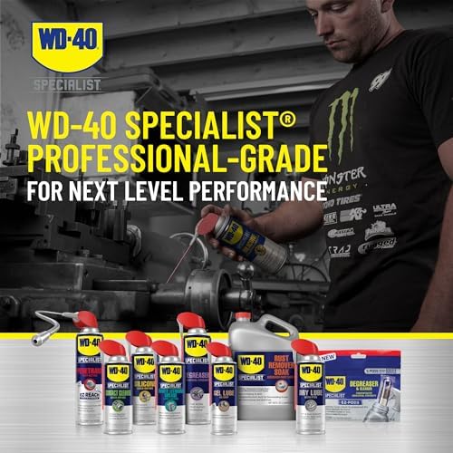 WD-40 Specialist Silicone Lubricant with Smart Straw Sprays 2 Ways, Twin-Pack, 11 OZ