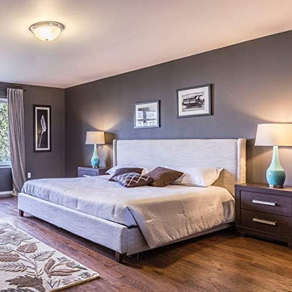 Amazon Basics Non-Dimmable LED Light Bulbs, Long Lasting, 9W, E26 Base, 5000K Daylight White, A19, 60W Equivalent, 24-Pack