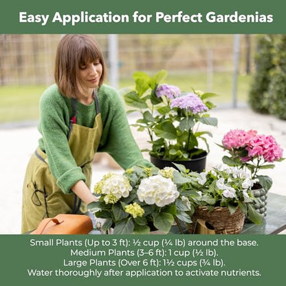 Slow Release Hydrangea Fertilizer with Iron & Sulfur – Indoor & Outdoor Soil Acidifier for Miracle Growth (1 qt)