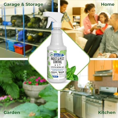 Mighty Mint Peppermint Oil Insect Repellent Spray – Natural Indoor & Outdoor Bug Control for Spiders, Ants, Roaches, and More – Plant-Based, Extra-Strong Formula - 16 oz (Pack of 2)