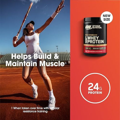 Optimum Nutrition Gold Standard 100% Whey Protein Powder, Double Rich Chocolate, 1 Pound (Pack of 1)