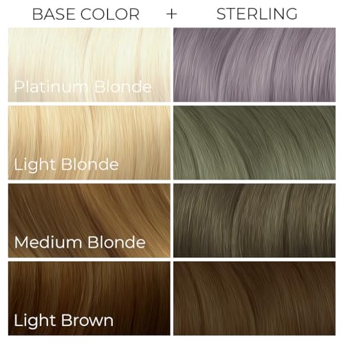 ARCTIC FOX Vegan and Cruelty-Free Semi-Permanent Hair Color Dye (8 Fl. Ounces, Sterling)