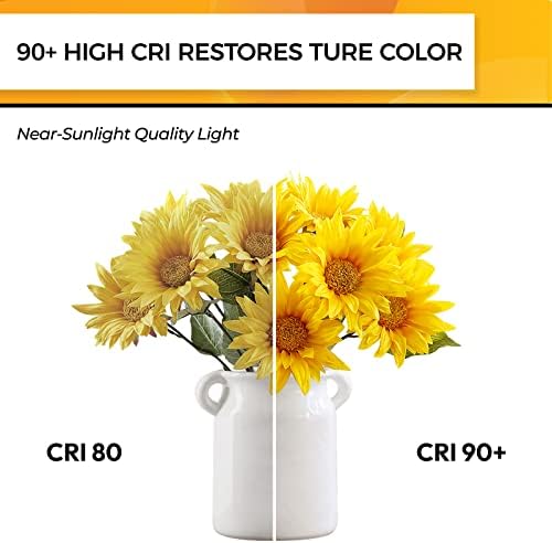 Hizashi 90+CRI Candelabra LED Light Bulbs 60 Watt, 2700K Warm White, E12 LED Bulb Dimmable, B11 Chandelier Light Bulbs, 6W, 550LM, Candle Light Bulbs, UL Listed, 12 Pack