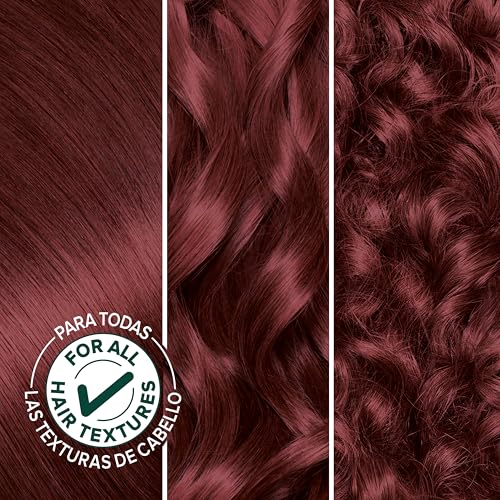 Garnier Hair Color Nutrisse Nourishing Creme, 56 Rich Auburn (Sangria) Permanent Hair Dye, 2 Count (Packaging May Vary)